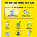 Fortes chaleurs : adoptez les bons réflexes !